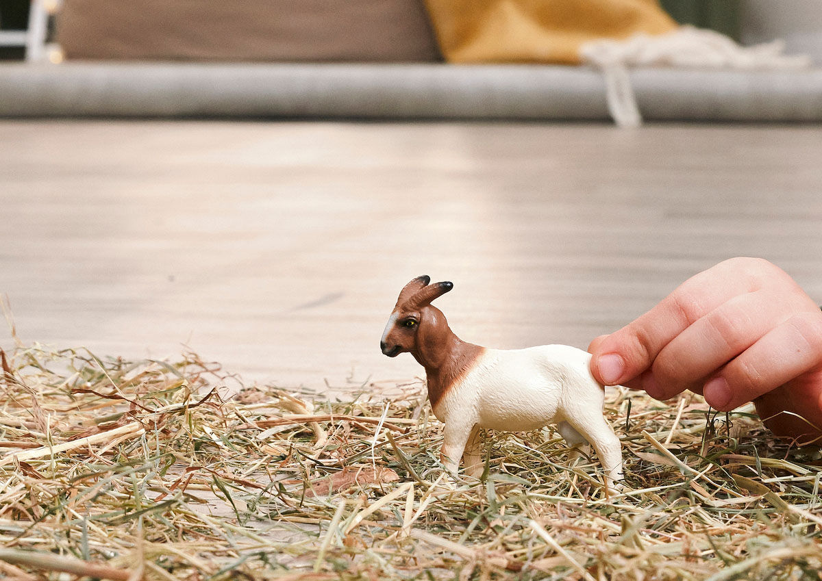 Spielfigur SCHLEICH "FARM WORLD, Burenziege (14929)", braun (natur), Spielfiguren, Kinder, Kunststoff, Spielfigur