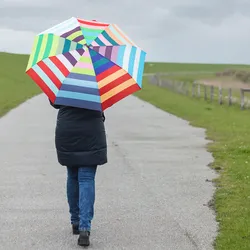 REMEMBER Taschen - Regenschirm "Allegra" - geöffnet L 58cm, Ø 100 cm - Bunter Regenschirm