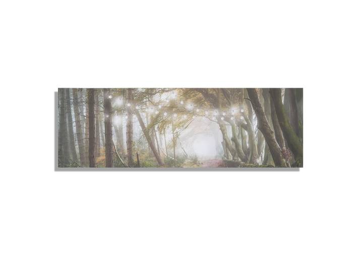Art for the Home Leinwandbild LED Waldspaziergang 30x90cm, Braun, Baum/Pflanze/Natur, Landschaft/Berg, Rechteckig, 90x1 cm, Bilder & Rahmen, Bilder, Leinwandbilder