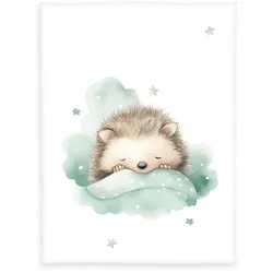 Herding babybest Kleiner Igel Microfaserflausch-Decke Größe 75x100 cm