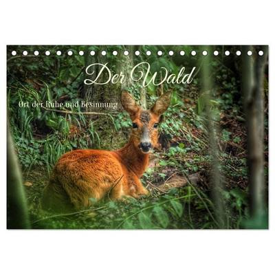 Der Wald - Ort der Ruhe und Besinnung (Tischkalender 2027 DIN A5 quer), CALVENDO Monatskalender