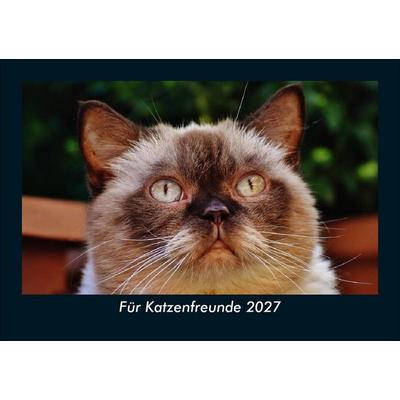 Für Katzenfreunde 2027 Fotokalender DIN A5