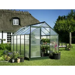 Halls Gewächshaus Popular - 6.2 m2 Grün mit 4 mm Stegdoppelplatten