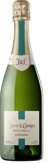 Juvé & Camps Cinta Xarel·lo 2021 - 75cl