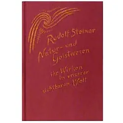 Natur- und Geistwesen - ihr Wirken in unserer sichtbaren Welt, Sachbücher von Rudolf Steiner