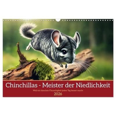 Chinchillas - Meister der Niedlichkeit (Wandkalender 2026 DIN A3 quer), CALVENDO Monatskalender