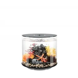 biOrb TUBE 35 LED schwarz (92400)