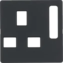 Berker Zentralstück British Std. 3313076086