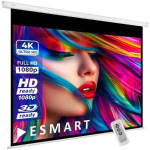 ESMART Beamer-Leinwand Economy EXM Motor, 69 Zoll, 140 x 105 cm, Format 4:3, Motorleinwand