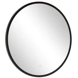 Held-Möbel Badezimmerspiegel Vigo Metall Transparent