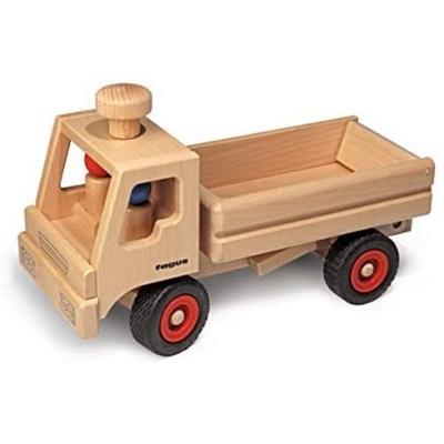 Fagus 10.45 - LKW-Kipper, Holzfahrzeug, Laster