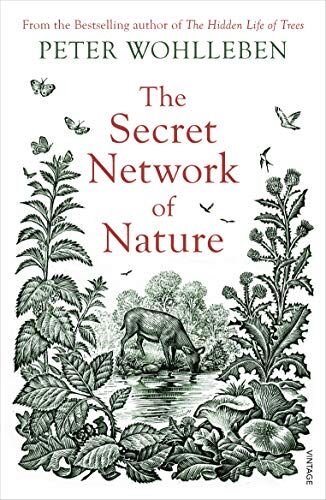 Peter Wohlleben - The Secret Network of Nature: The Delicate Balance of All Living Things - Preis vom 16.10.2026 11:41:07 h