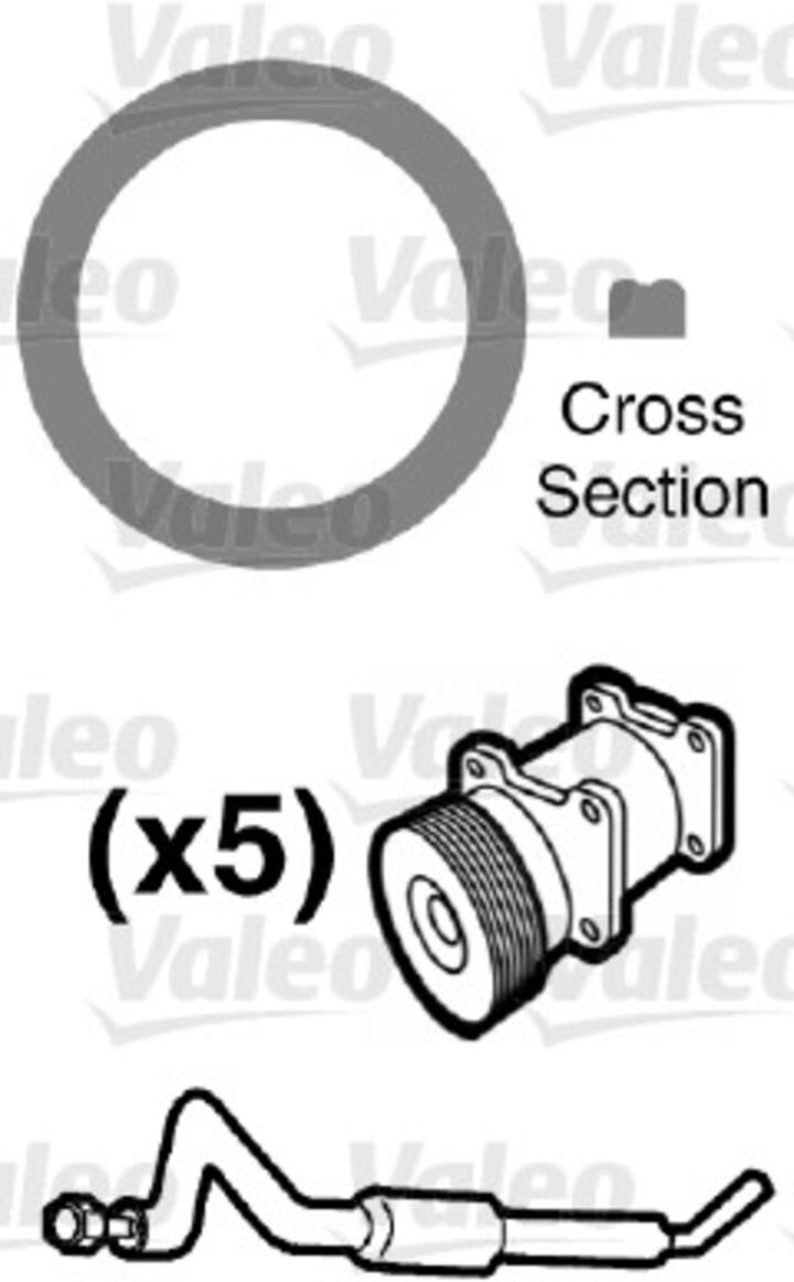 Valeo Kit di conversione, aria condizionata 509555