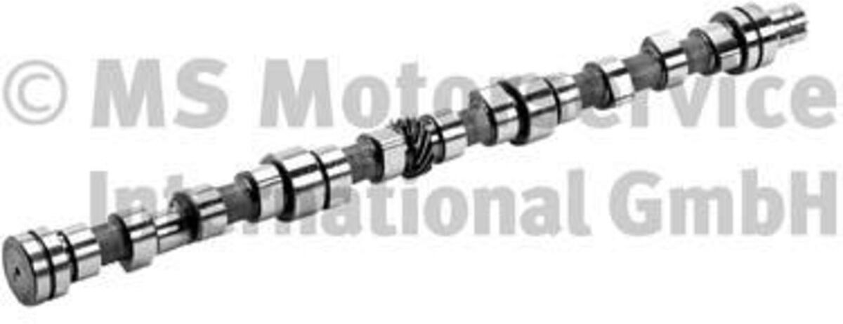 Nockenwelle BF 20100336601