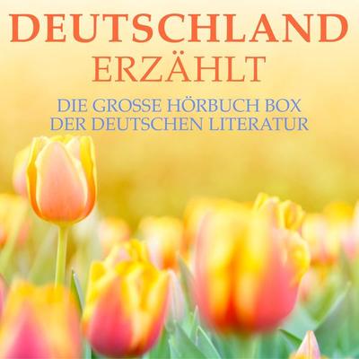 Deutschland erzählt - Franz Werfel,Stefan Zweig, Audio, 9783955977443