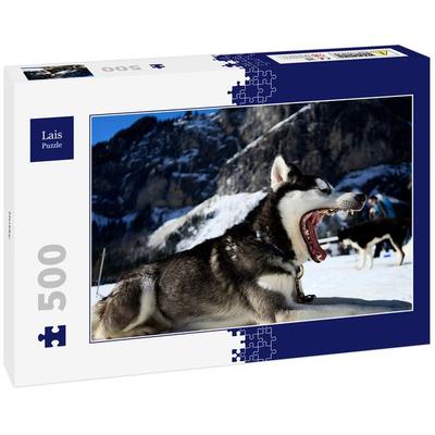 Lais Puzzle Husky 500 Teile