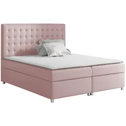 BOXBETT Asti - H3