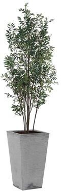 "Uttermost Sonora Olive Tree In Planter - 33.00"" W x 89.25"" H x 31.50"" D"