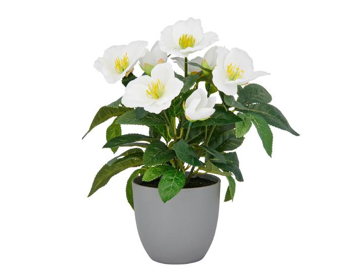 Kunstblume Christrose Jessup 23 x 31 x 26cm