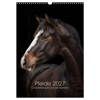 Pferde 2027 - Charakterköpfe vor der Kamera (Wandkalender 2027 DIN A3 hoch), CALVENDO Monatskalender