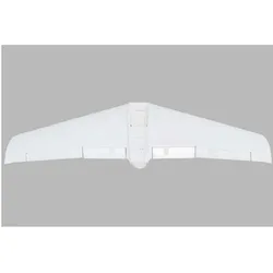 E-Flite lackierter flügel: v1200