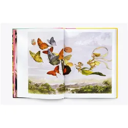 Die Kunst der Märchenillustration, Belletristik von Joanna Ebenstein