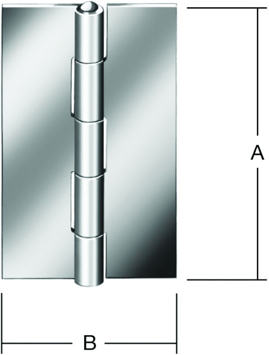 VORMANN Tür-Scharnier schmal,B31xH50mm gerollt Edelstahl,rostfrei (010501050U)