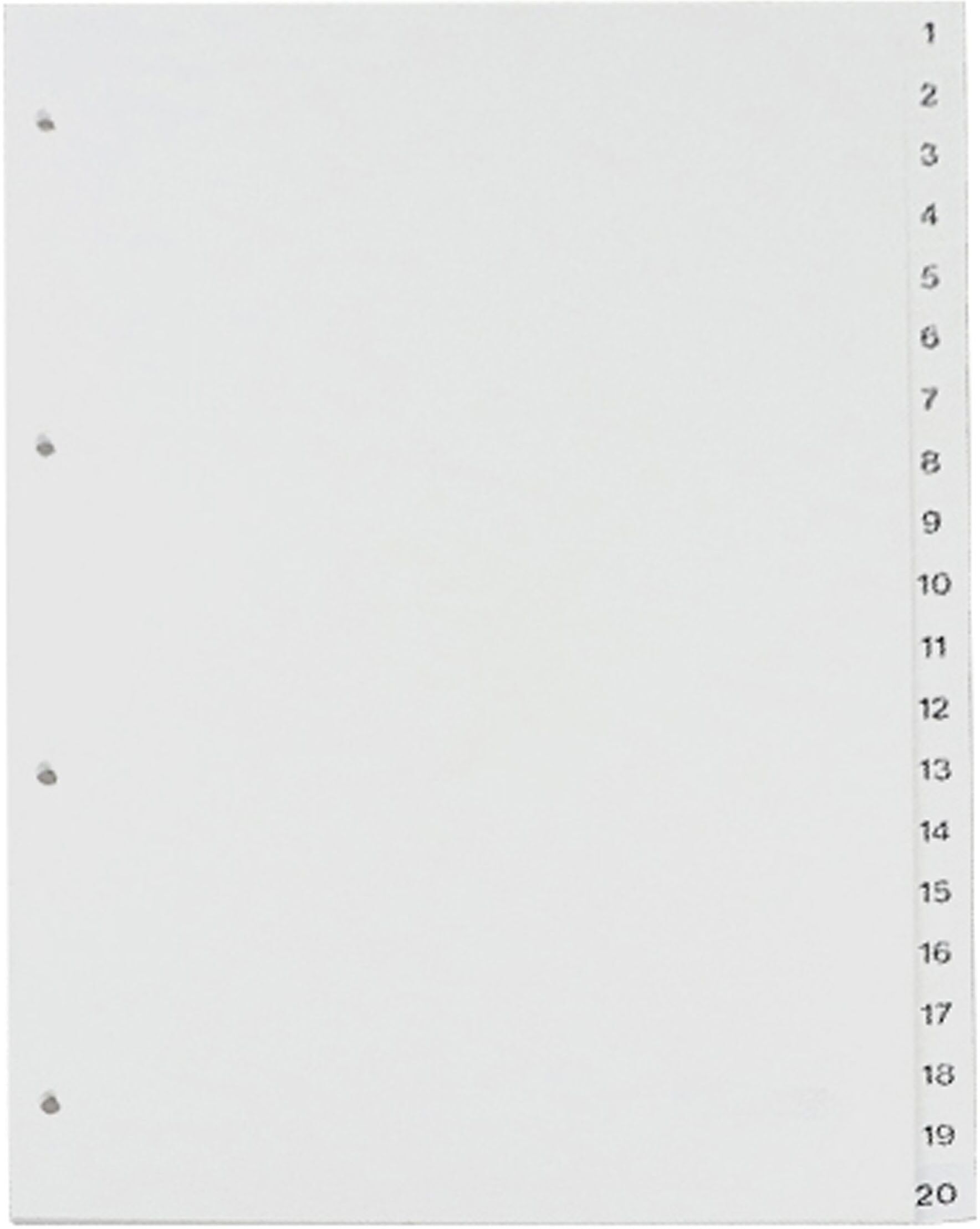 SPRINTIS 10 jeu - Intercalaires A4, marge large, 20 touches, 4 trous, blanc, PP
