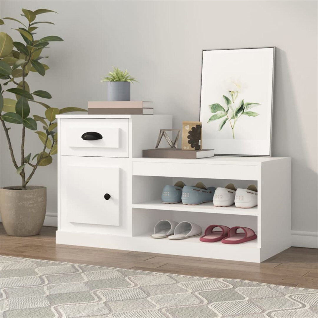 Latitude Run Menzen 8 Pair Shoe Storage Cabinet White 8