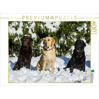 CALVENDO Puzzle Labrador Retriever - Freunde für´s Leben | 1000 Teile Lege-Größe 64x48cm Foto-Puzzle für glückliche Stunden