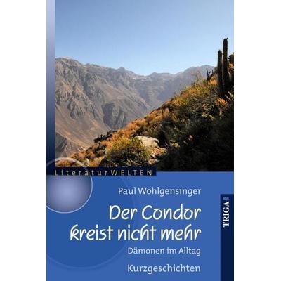 Der Condor kreist nicht mehr, Taschenbuch von Paul Wohlgensinger, TRIGA Der Verlag Gerlinde Heß, 978-3-89774-793-7