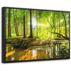 LEINWAND Bilder mit Rahmen - Wald - Landschaft - Wasser - Bäume - Sonne - Grün - Natur - 60x40