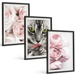 BILDER SET 3er Set - 40x60 cm Schwarzer Rahmen - Katze in rosa Blumen