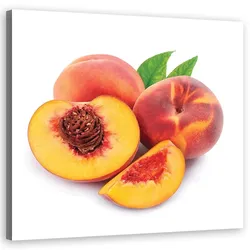 WANDBILD obst boching