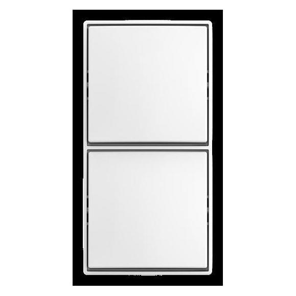 Busch-Jaeger Kombi Schalter/Schalter AP (2TKA00005525)