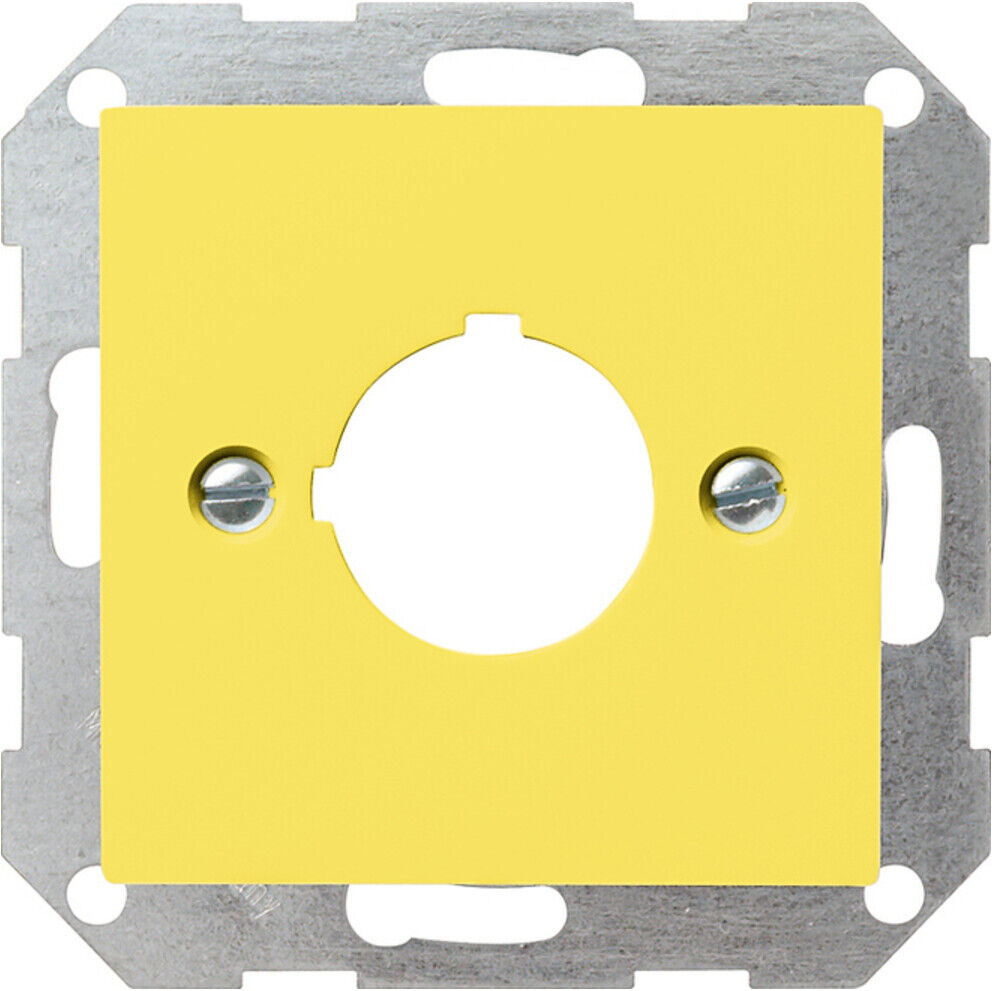 Gira Zentraleinsatz ge-gl Aufnahme 22,5mm 027102)