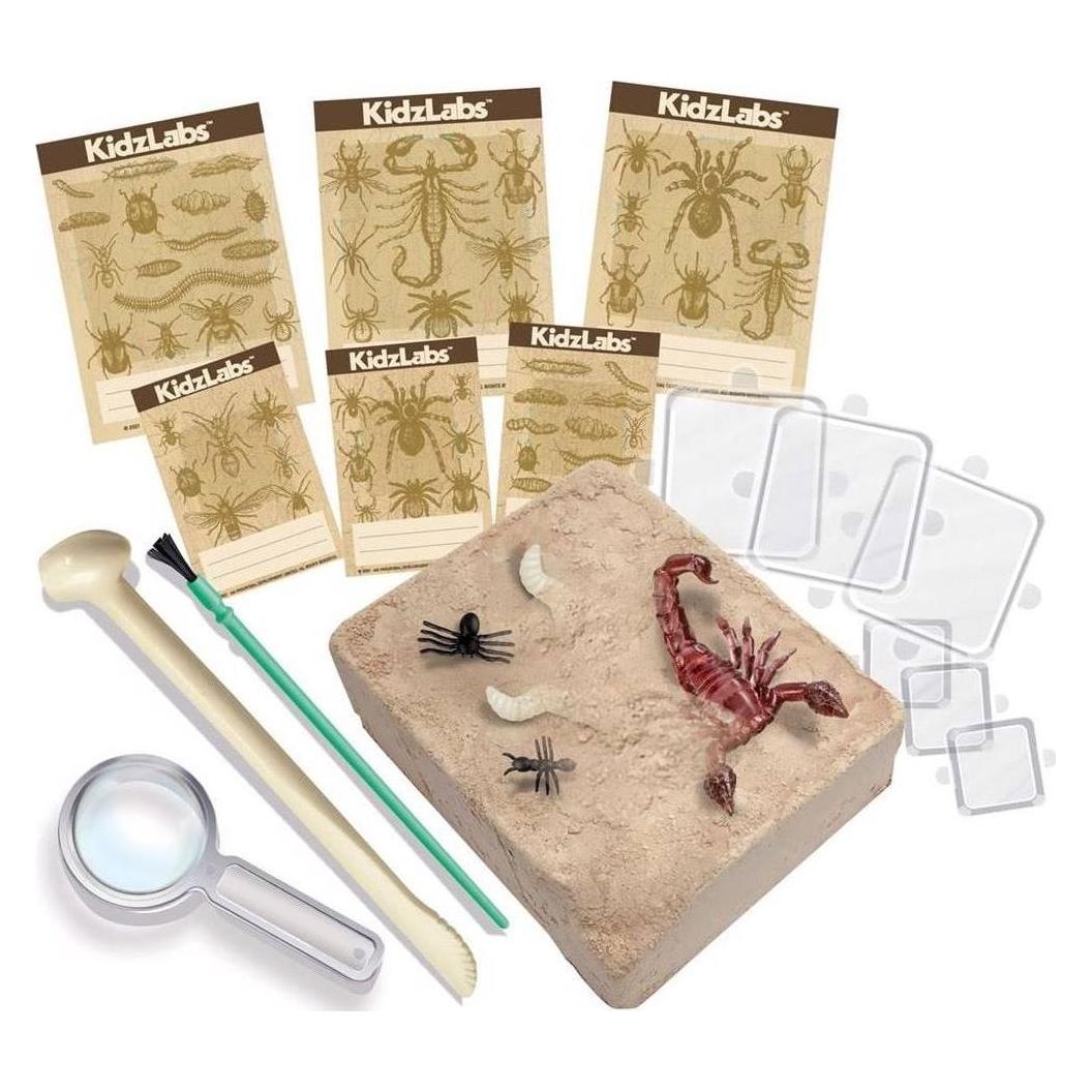 4M DAM Kidzlabs: OPGRAAFKIT INSECTEN 'CREEPY CRAWLY', in doos 17x22x6cm, 5+ (123397)