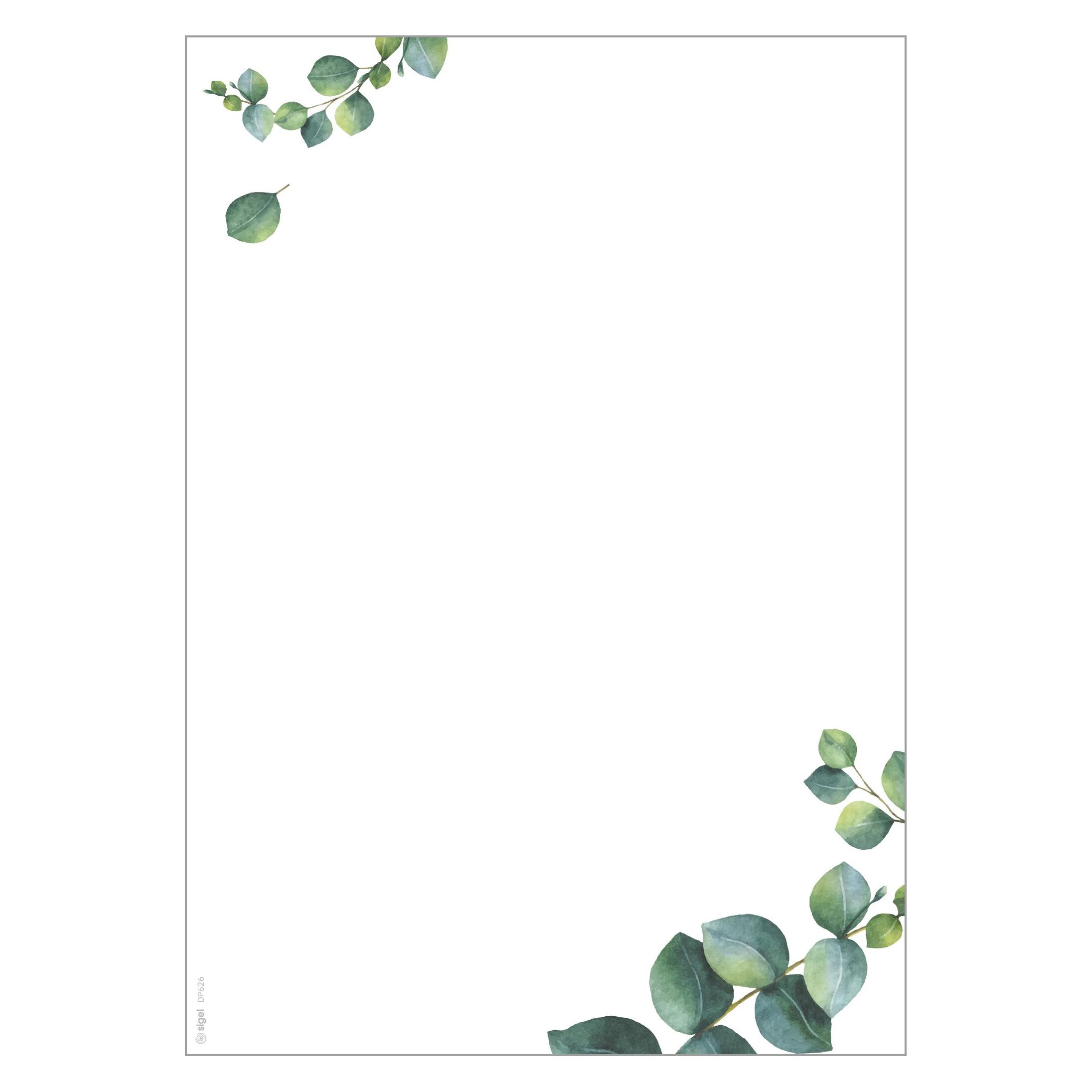 Sigel Design-Papier "Eucalyptus" (90 g/m², 100x) (DP626)
