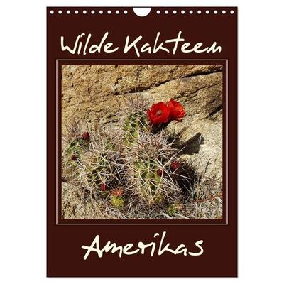 Wilde Kakteen Amerikas (Wandkalender 2027 DIN A4 hoch), CALVENDO Monatskalender