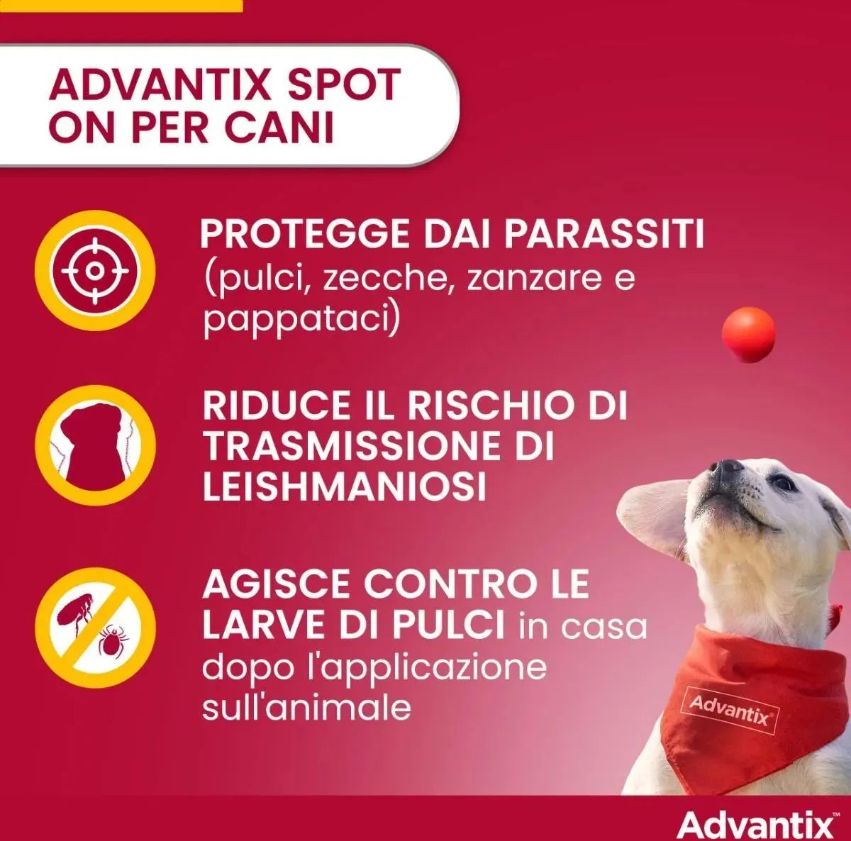 Advantix Spot On Cane Fino a 4Kg 6 PIPETTE