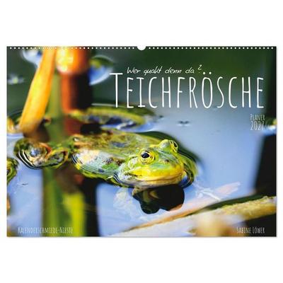 Teichfrösche (Wandkalender 2027 DIN A2 quer), CALVENDO Monatskalender
