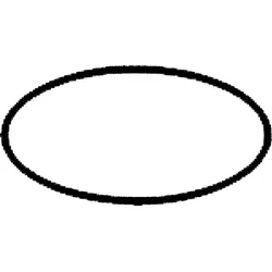 Ideal Standard 0-RING 50.52x1.78 A962639NU