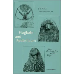 Flugbahn und Federflaum, Sachbücher von Pauline Altmann, Bernd Heinrich, Ulrike Kretschmer, Judith Schalansky