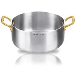 Pensofal 4909-E Academy Class Saucepan With Two Handles 20cm, Pfanne + Kochtopf, Silber