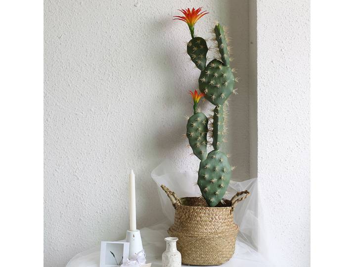 Plantes artificielles de 70 cm, cactus, succulentes fleuries, fausses plantes tropicales vertes, aloe vera, décoration intérieure pour la maison, le salon, accessoires