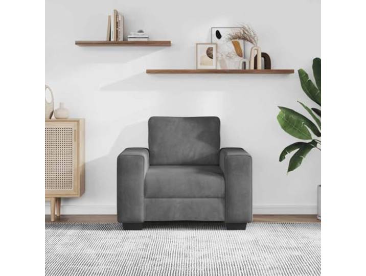 KTHLBRH Sofa Stuhl Dunkelgrau 100 x 77 x 82 cm Samt Wohnzimmerstuhl, dicker Schaumstoff, Stahlrahmen, vielseitige Verwendung, max. 110 kg