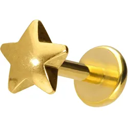 Titan Labret mit Push Fit STERN