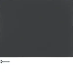 Berker KNX-Funk Taste 1fach 85145175