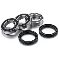 Factory Links, Motorrad Zubehör, Lagerkit für die Hinterachse