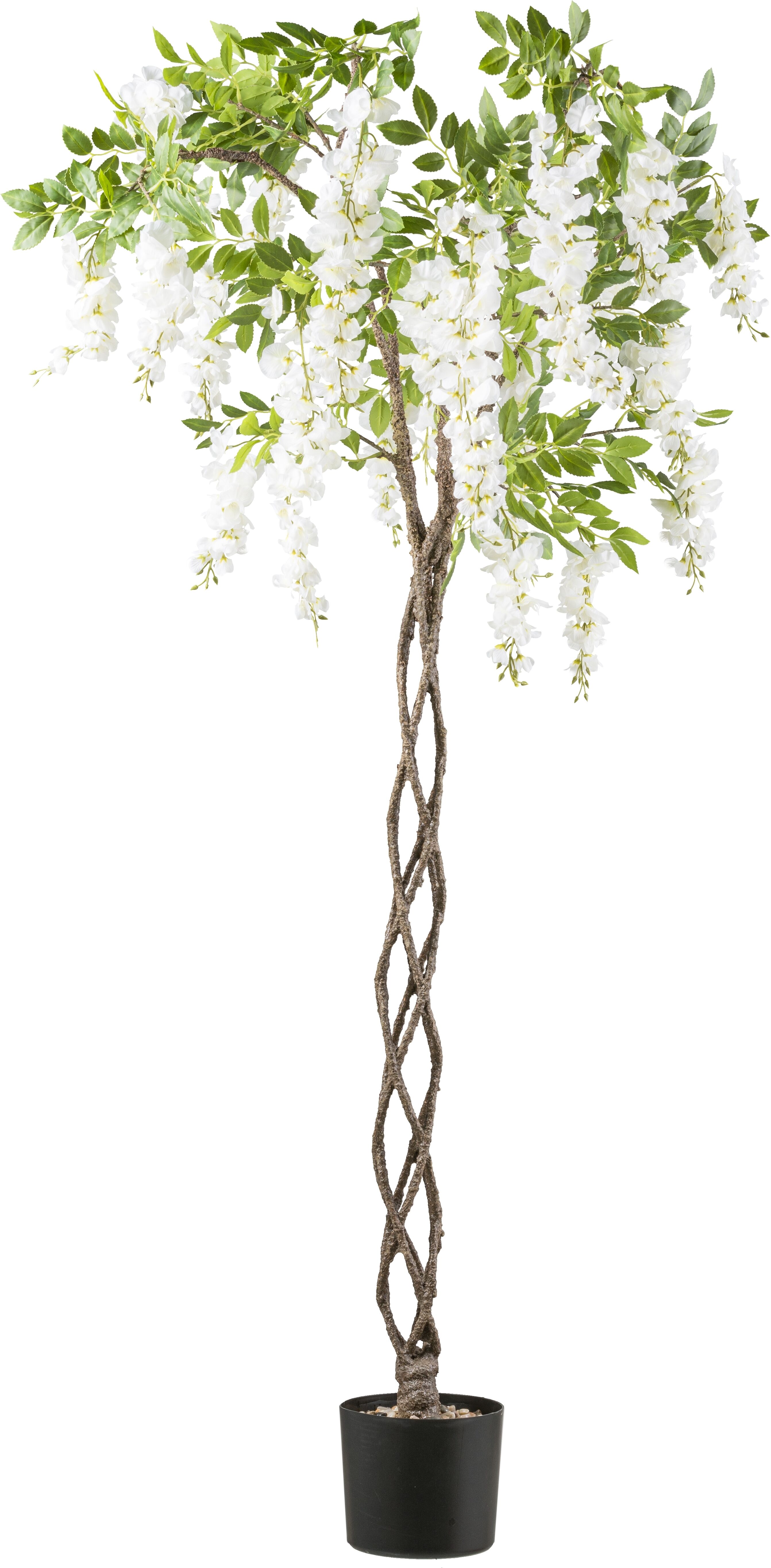 Kunstbaum CREATIV GREEN "Weißer Blauregen", weiß, H:170cm, Kunststoff, Kunstpflanzen, Kunstbaum, mit geflochtenem Stamm